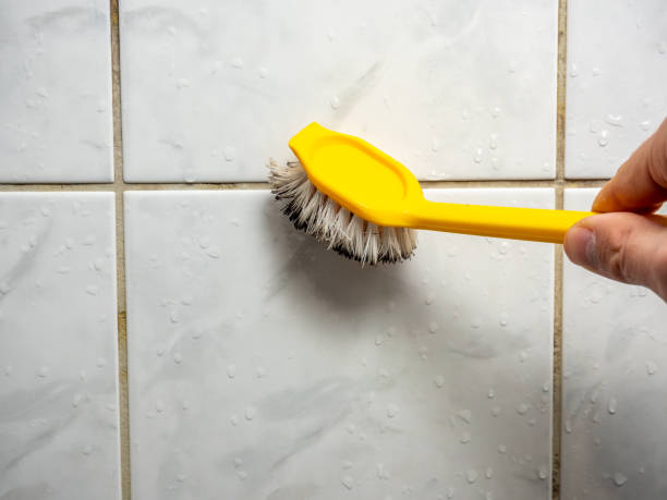 Best Affordable Mold Removal  in Corsicana, TX