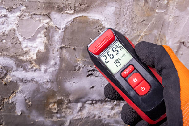Best Local Mold Removal Service  in Corsicana, TX