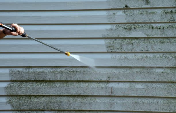 Best Commercial Mold Removal  in Corsicana, TX