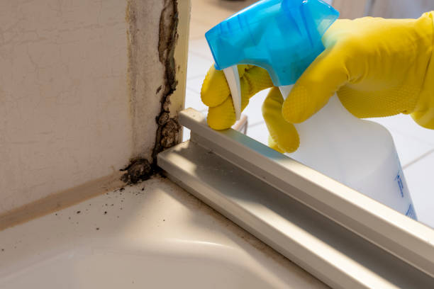 Best Crawl Space Mold Removal  in Corsicana, TX