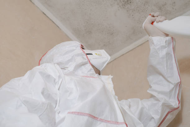 Best Best Mold Removal Companies  in Corsicana, TX
