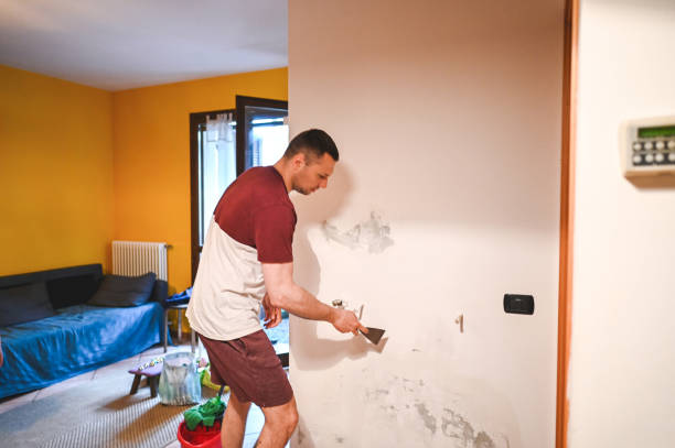  Corsicana, TX Mold Removal Pros