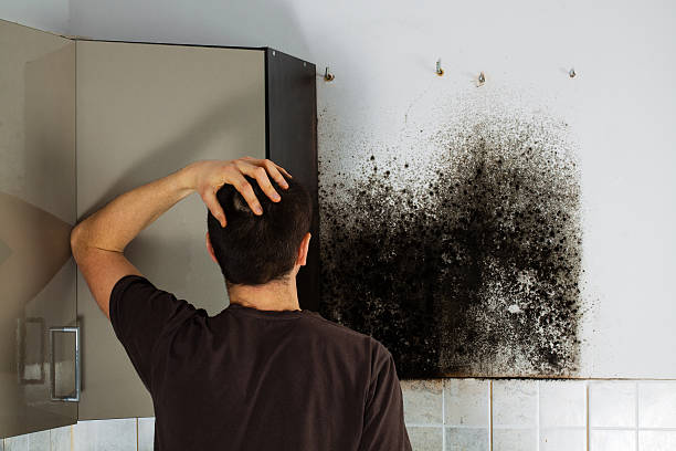 Best Mold Testing  in Corsicana, TX